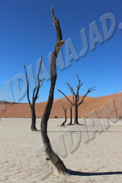 Sossusvlei
