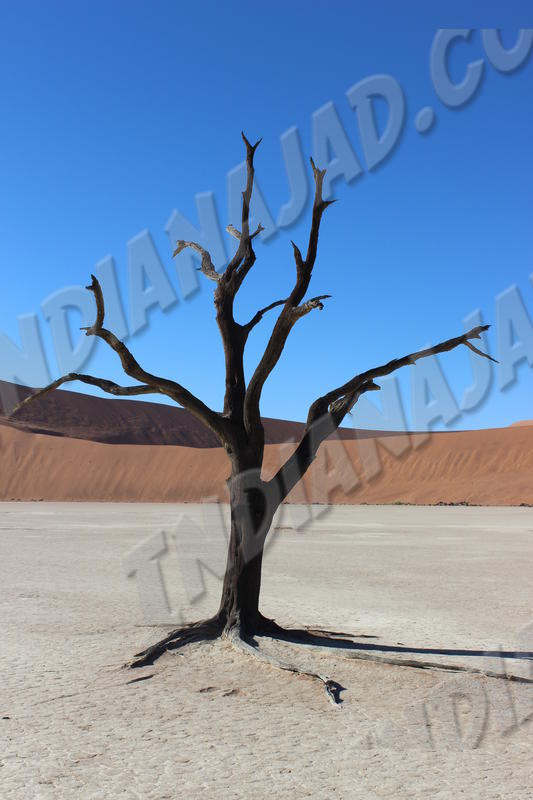 Sossusvlei