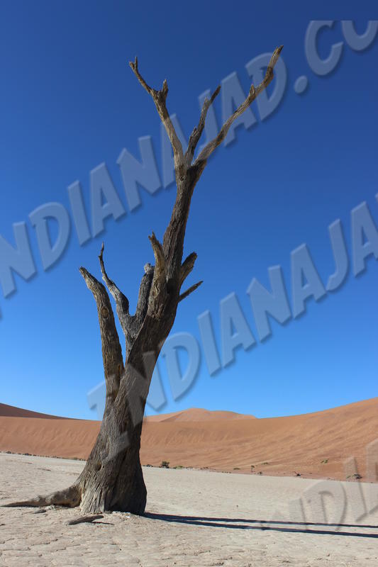 Sossusvlei