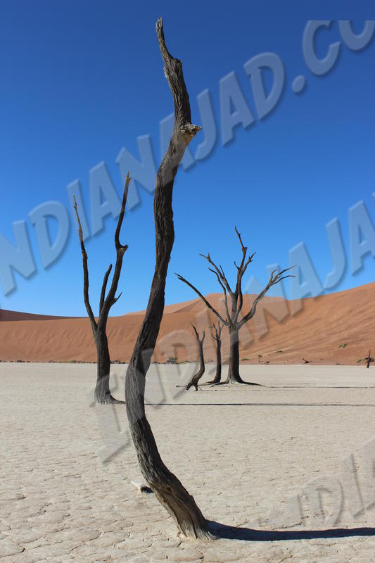 Sossusvlei
