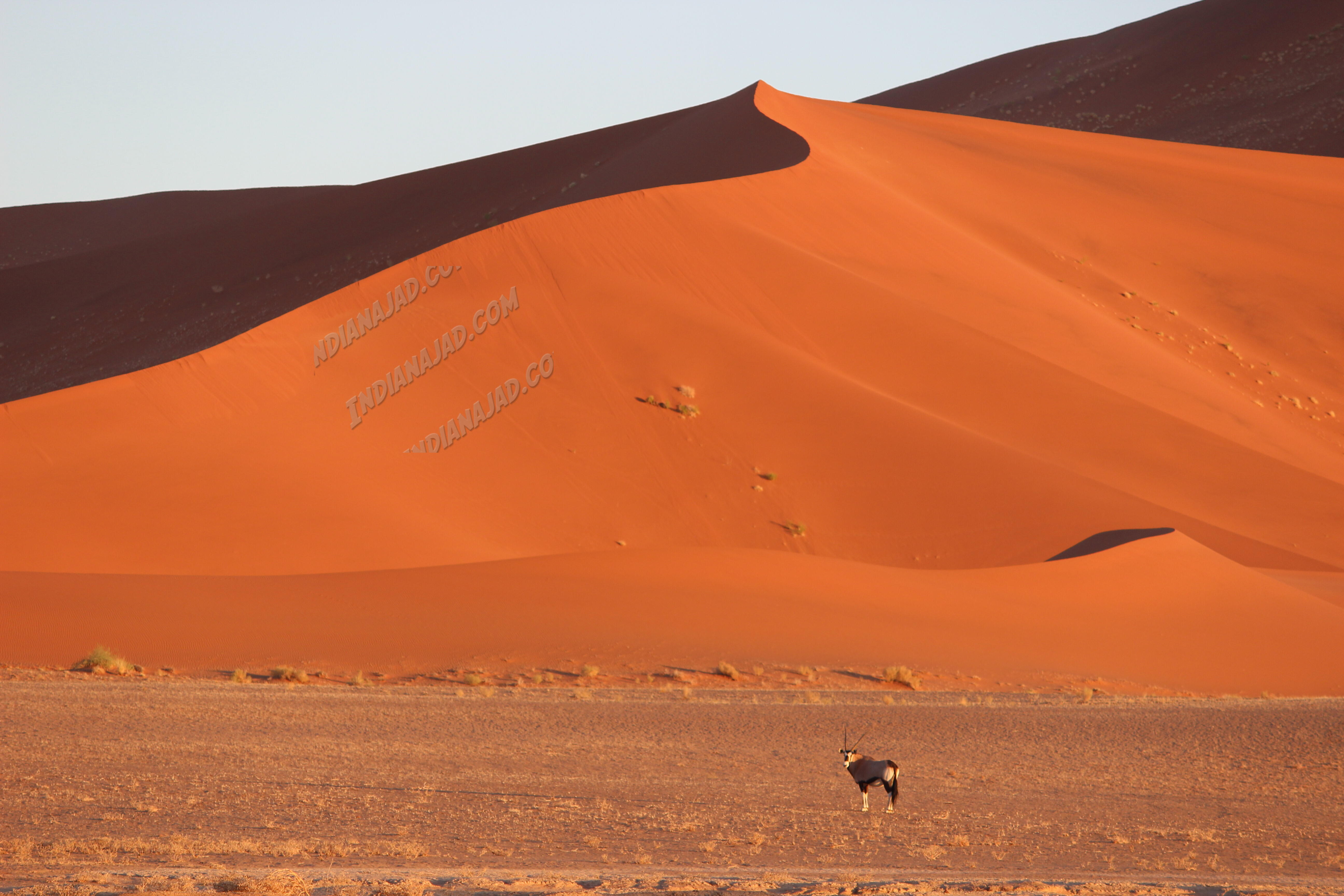 Sossusvlei
