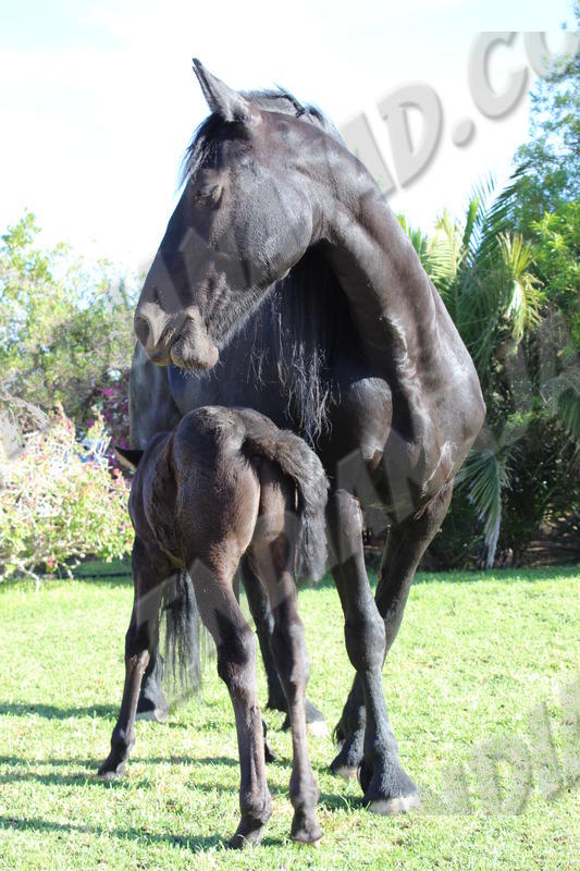 Keetmanshoop