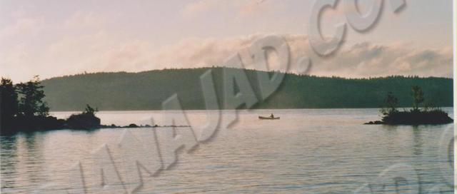Ontario - Parc Algonquin