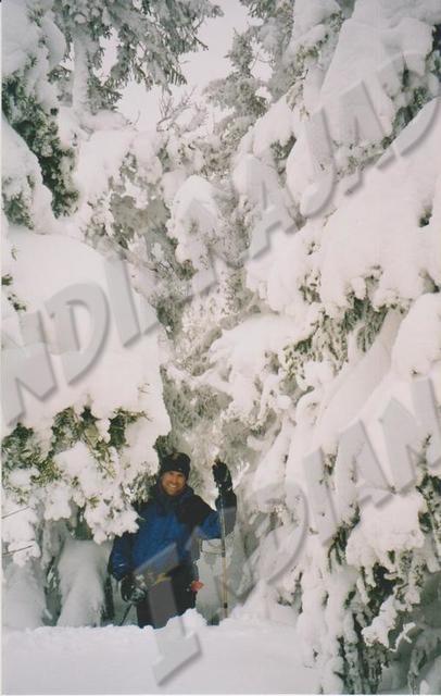 Québec - Parc de la Gaspésie