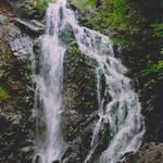 Nouv.-Brunswick - Parc Fundy