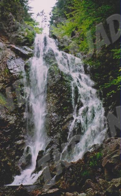 Nouv.-Brunswick - Parc Fundy