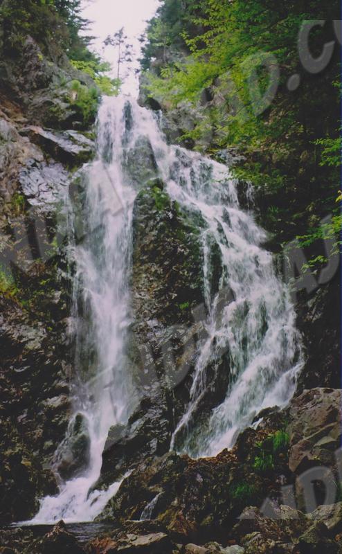 Nouv.-Brunswick - Parc Fundy