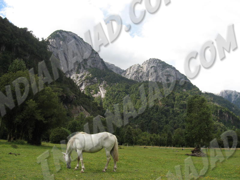 Vallée de Cochamó