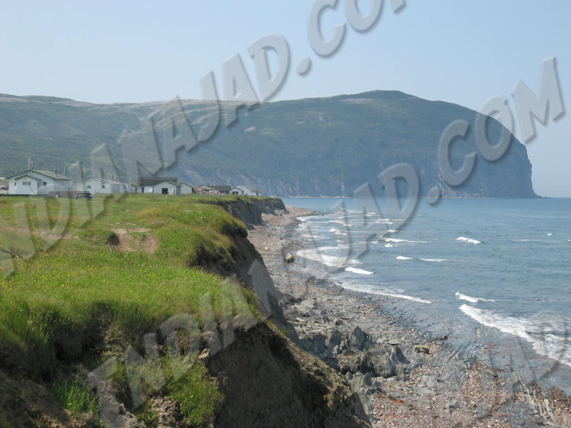 Terre-Neuve