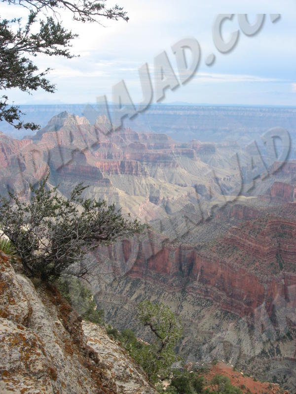 Arizona - Grand Canyon