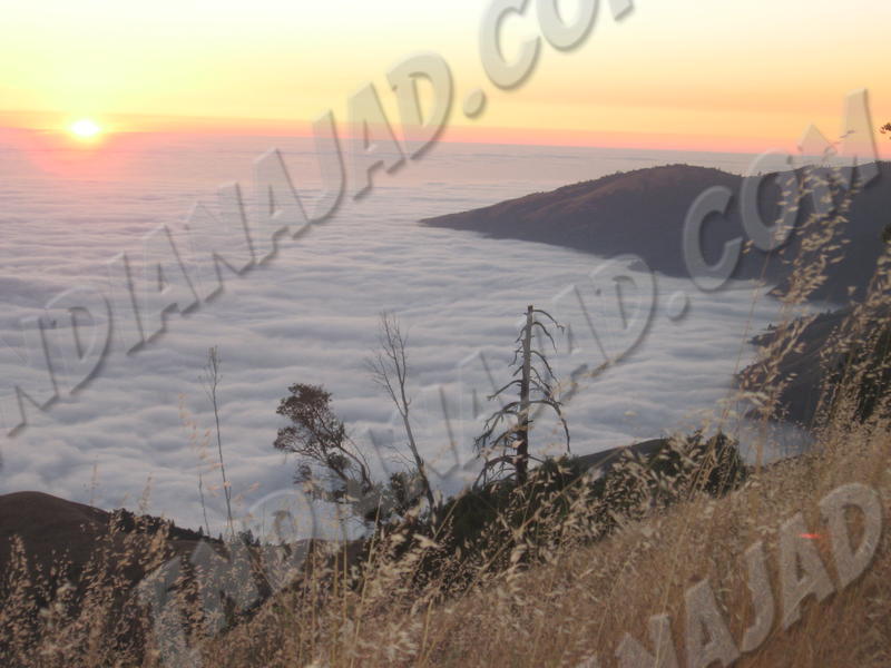 Californie - Prewitt Ridge