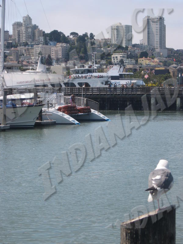 Californie - San Francisco