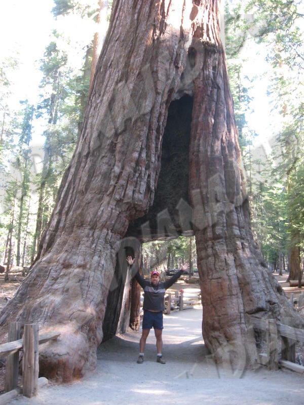 Californie - Yosemite