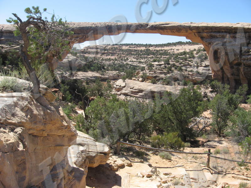 Utah - Natural Bridges