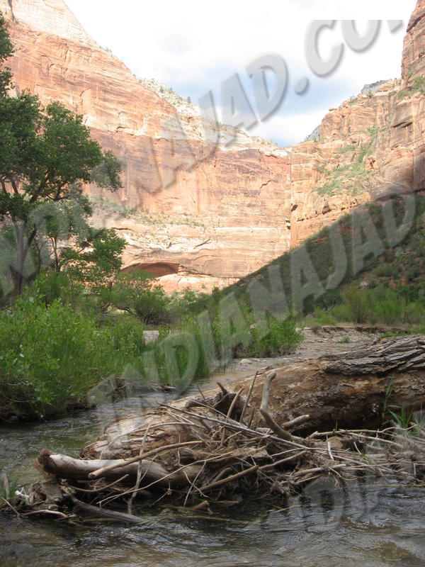 Utah - Zion
