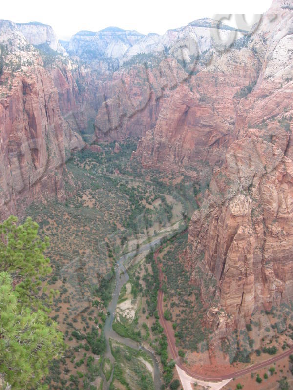 Utah - Zion