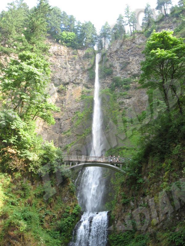 Washington - Chute Multnomah