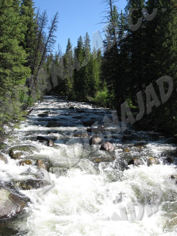 Wyoming - Powder River Pass