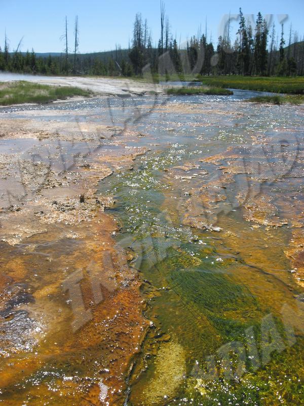 Wyoming - Yellowstone