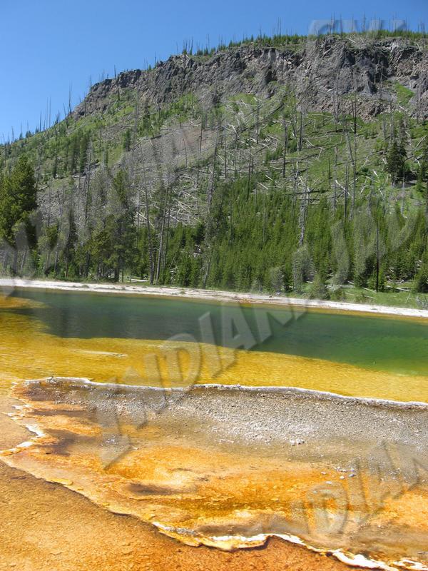 Wyoming - Yellowstone