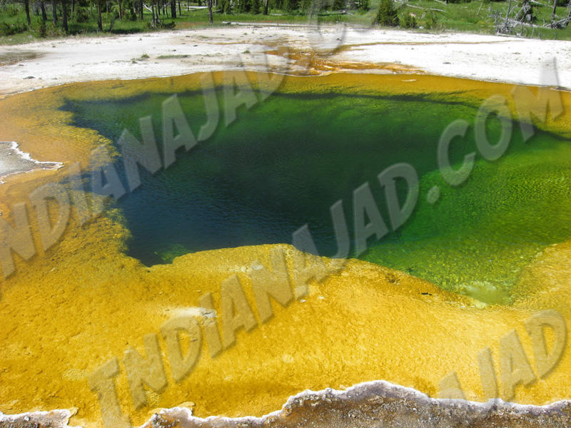Wyoming - Yellowstone