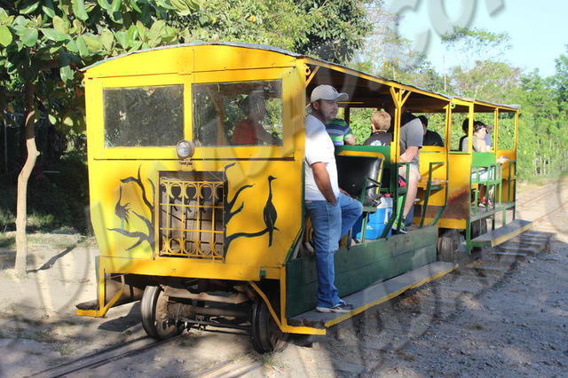 La Union