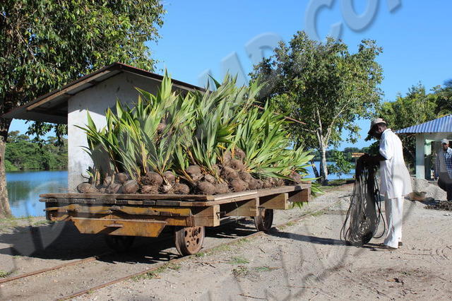 Réserve Cuero y Salado