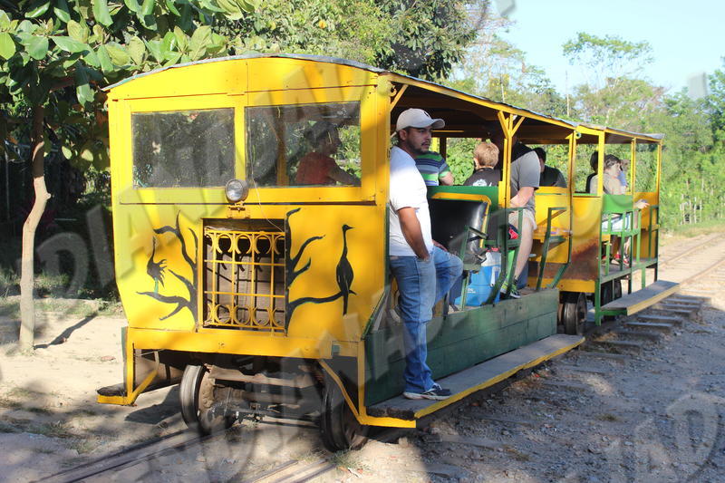 La Union