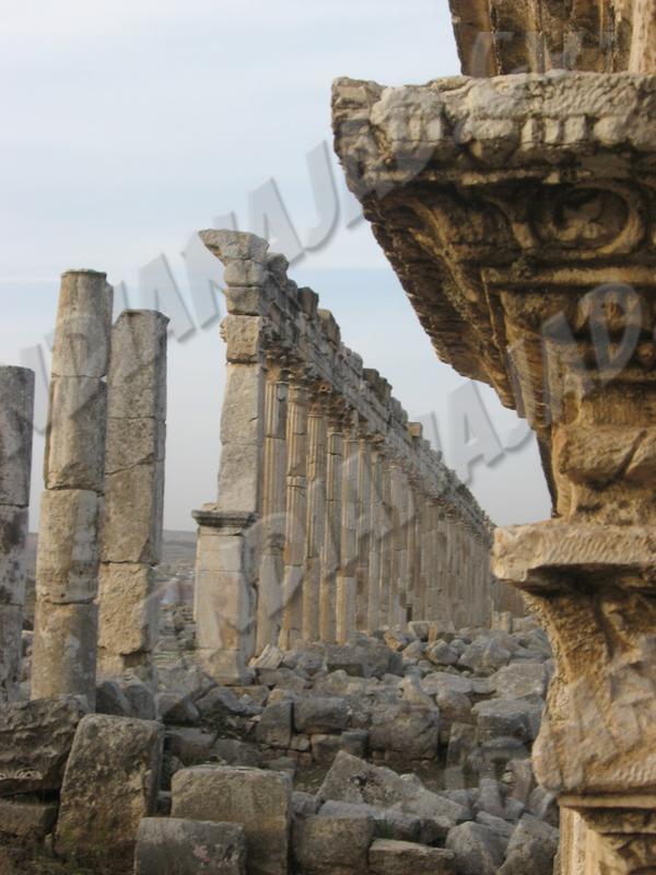 Apamea