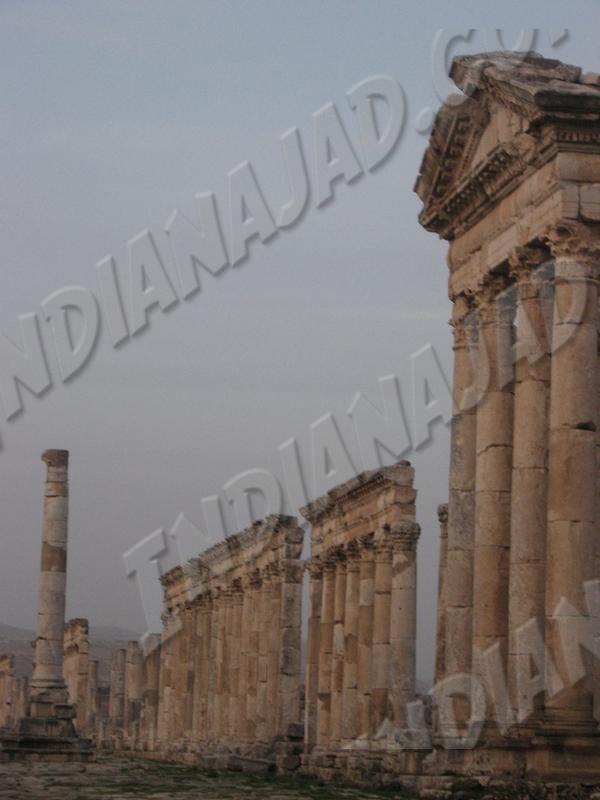Apamea