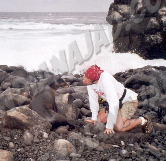 Galapagos - Île Española
