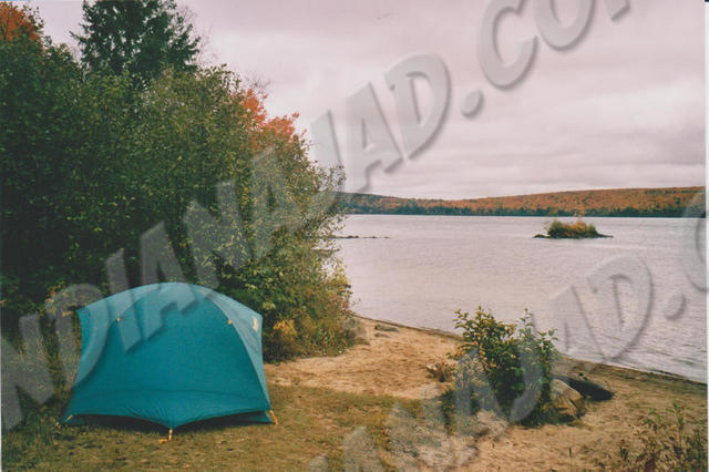 Ontario - Parc Algonquin