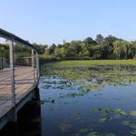 Ontario - Parc de la Rouge