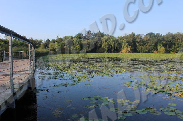Ontario - Parc de la Rouge