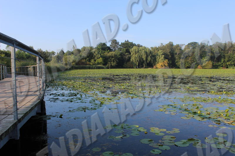 Ontario - Parc de la Rouge