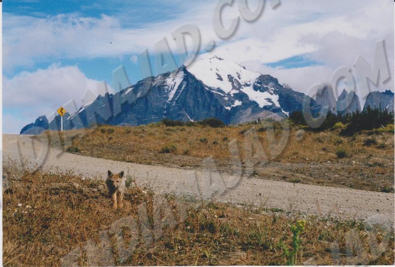 Parc Torres del Paine