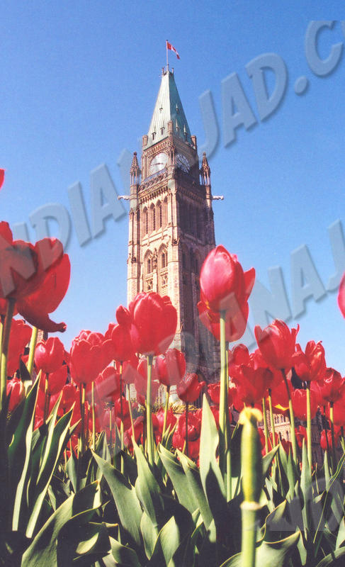 Ontario - Ottawa