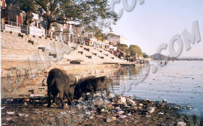 Udaipur