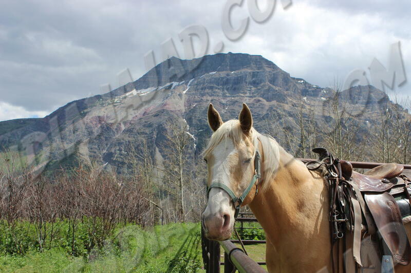 Alberta - Waterton