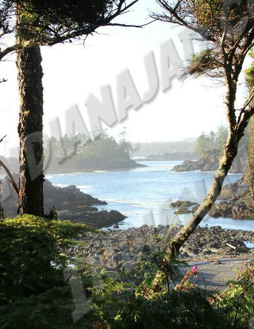 C.-Britannique - Ucluelet