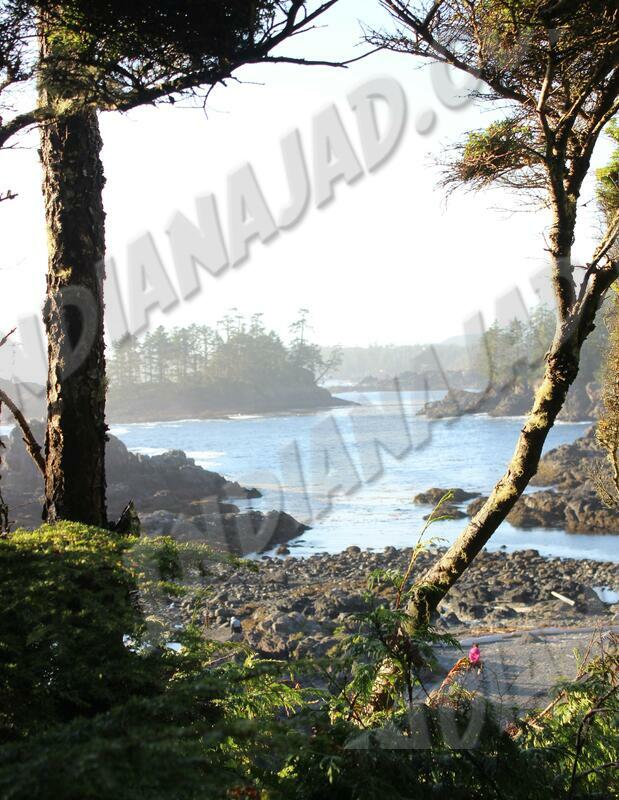 C.-Britannique - Ucluelet