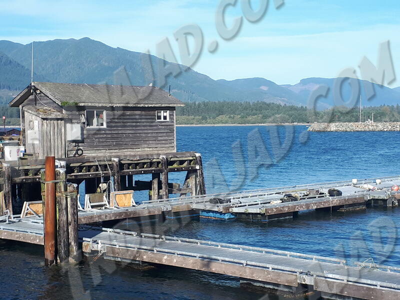 C.-Britannique - Port Renfrew