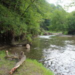 Ontario - Parc de la Rouge