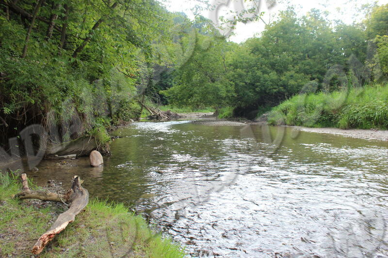 Ontario - Parc de la Rouge