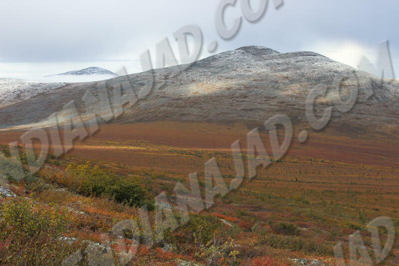 Yukon - Old Crow