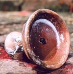 Kathmandou