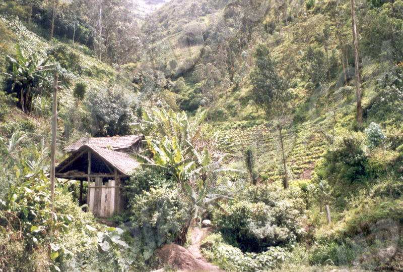 Baños