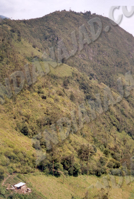 Baños