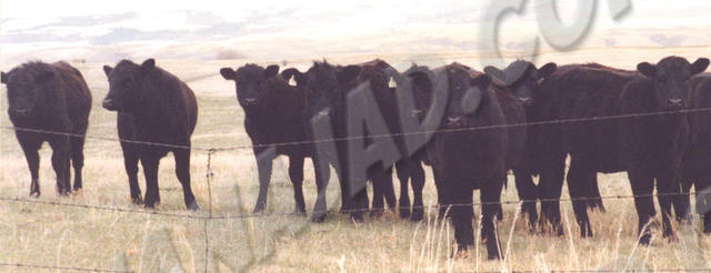Sask. - Fort Qu'Appelle