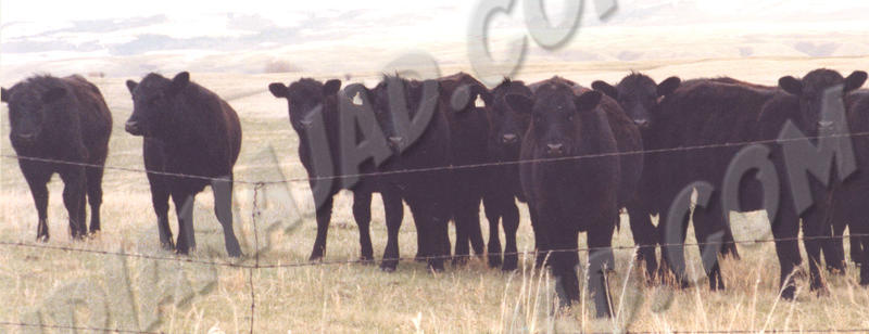 Sask. - Fort Qu'Appelle